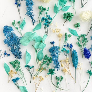 Dried flowers for resin jewelry, Sea Breeze tiny flower set, Multicolor dry mini flowers mix, Blue White floral decor, crafts