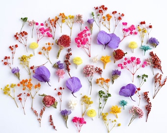 May include: A collection of dried flowers in various colors, including purple, pink, yellow, orange, and red, arranged in a heart shape on a white background.
