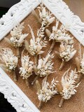 Pampas Grass Dried Flower Boutonniere, Rustic Boho Wedding product logo