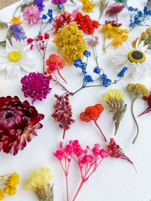 Lot De 6 Mini Bouquets De Fleurs Séchées Naturelles - 12-15 Cm - Pour DIY, Décoration, Résine