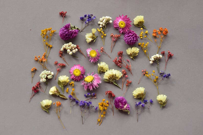 Dried tiny flowers for resin, tiny flowers for resin jewelry, Resin supply Mini garden, Mini flower mix for resin Blue purple red dry flower image 2