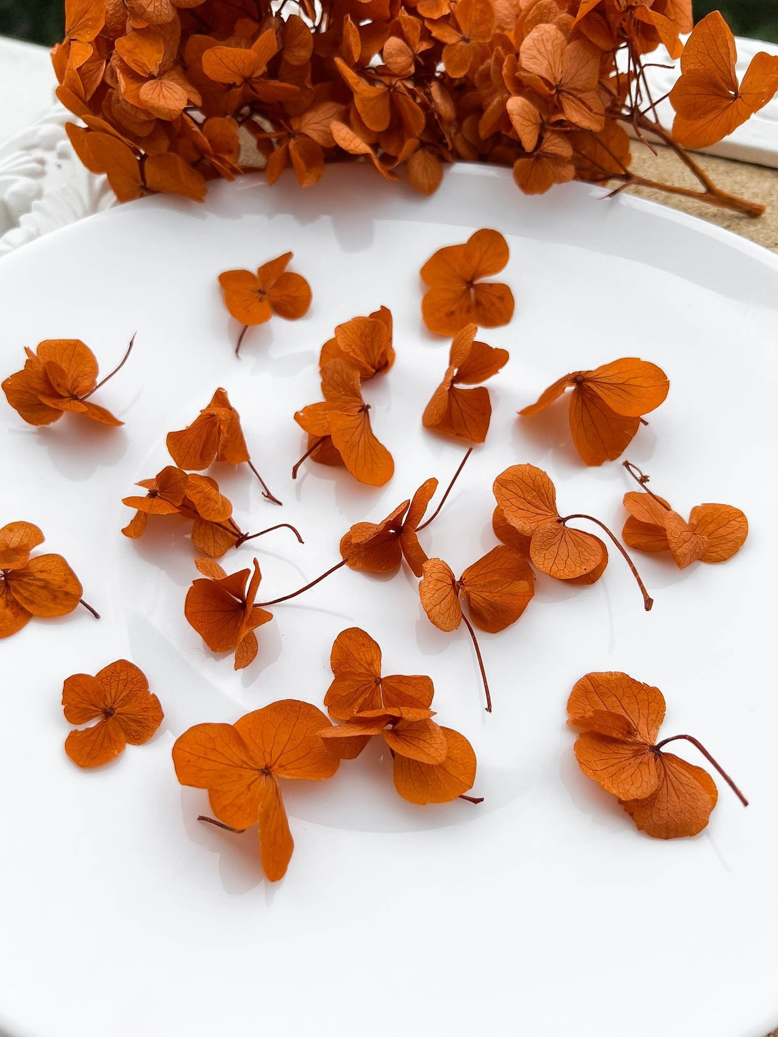 Rustic Terracotta Dried Hydrangea Leaves Small Flowers for Etsy