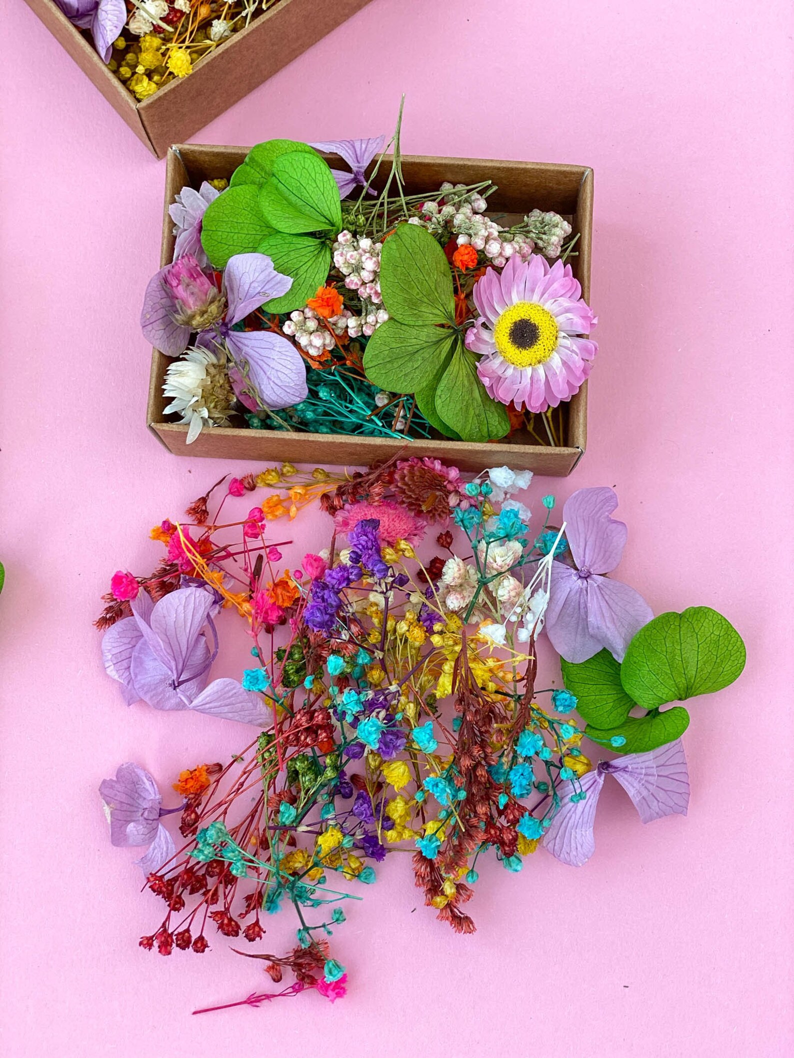 Dried Tiny Flowers for Resin Tiny Flowers for Resin Jewelry Etsy