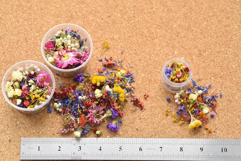 Dried Tiny Flowers for Resin Tiny Flowers for Resin Jewelry Etsy