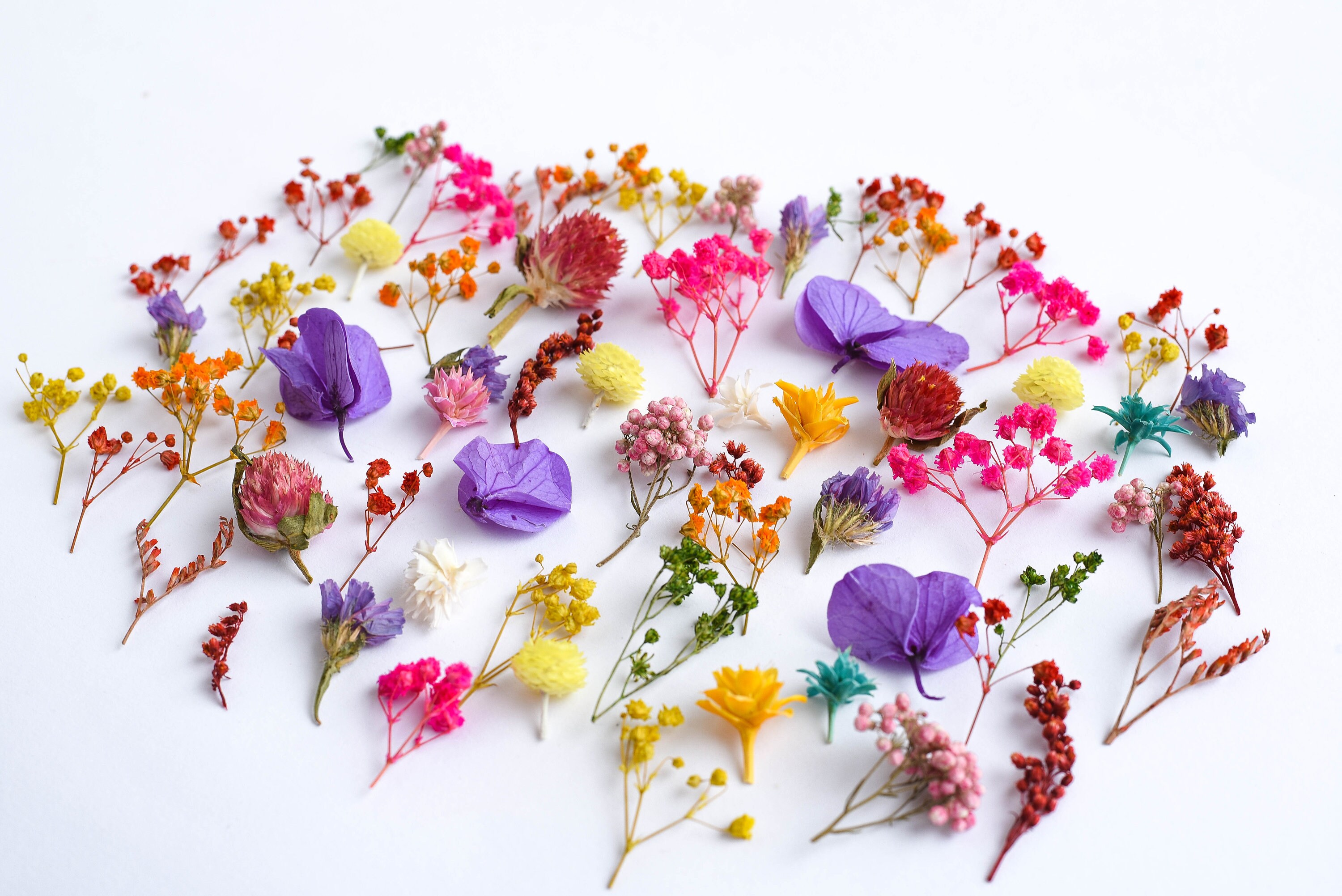 Dried Tiny Flowers for Resin 50ml Box, Dried Bulk Mini Flowers, Small  Assorted Flowers for Crafts -  Finland