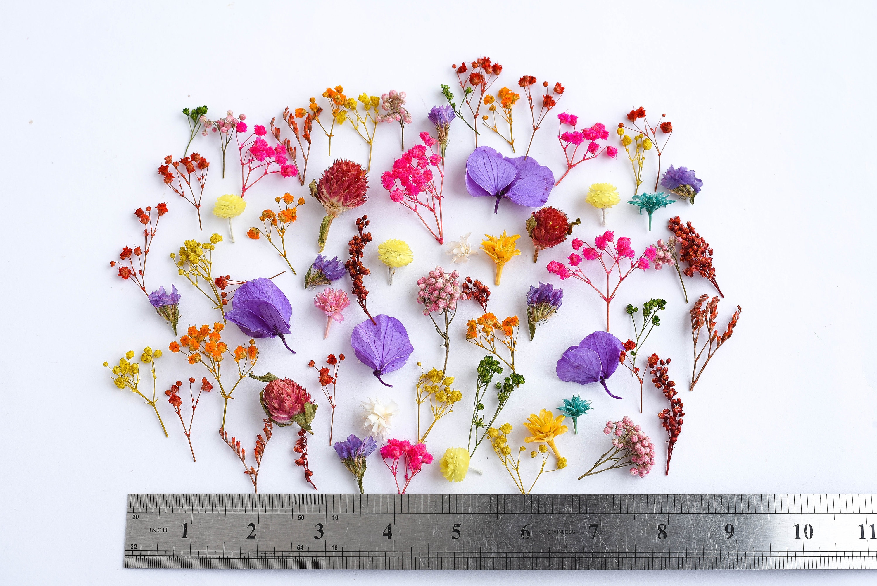 100 Pcs Small Dried Flowers, Tiny Dry Flowers,flowers for Resin,mini Flower  for Resin Craft, Dry Flower Supply,flower for Resin Art 