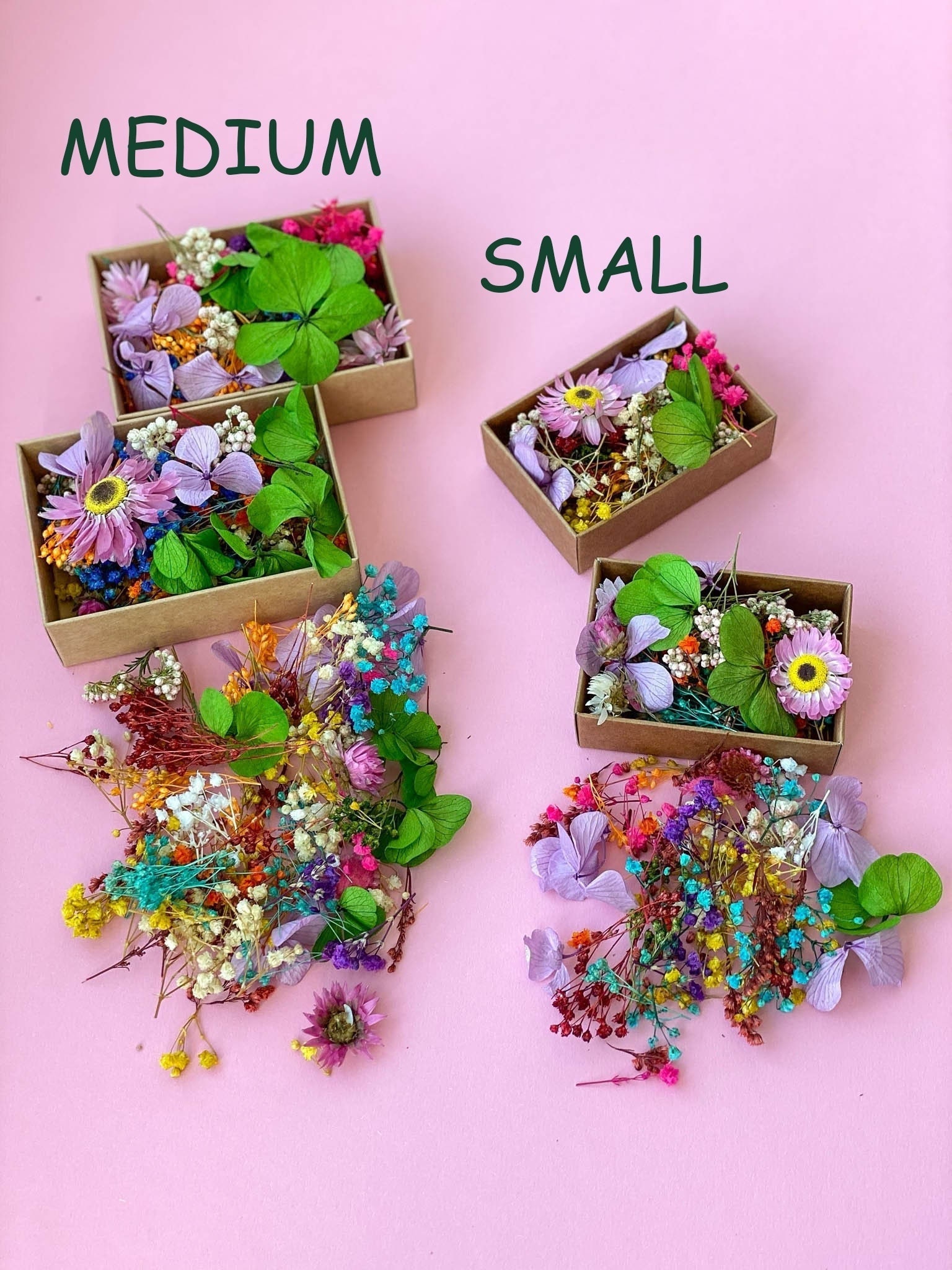 Dried Tiny Flowers for Resin Tiny Flowers for Resin Jewelry Etsy