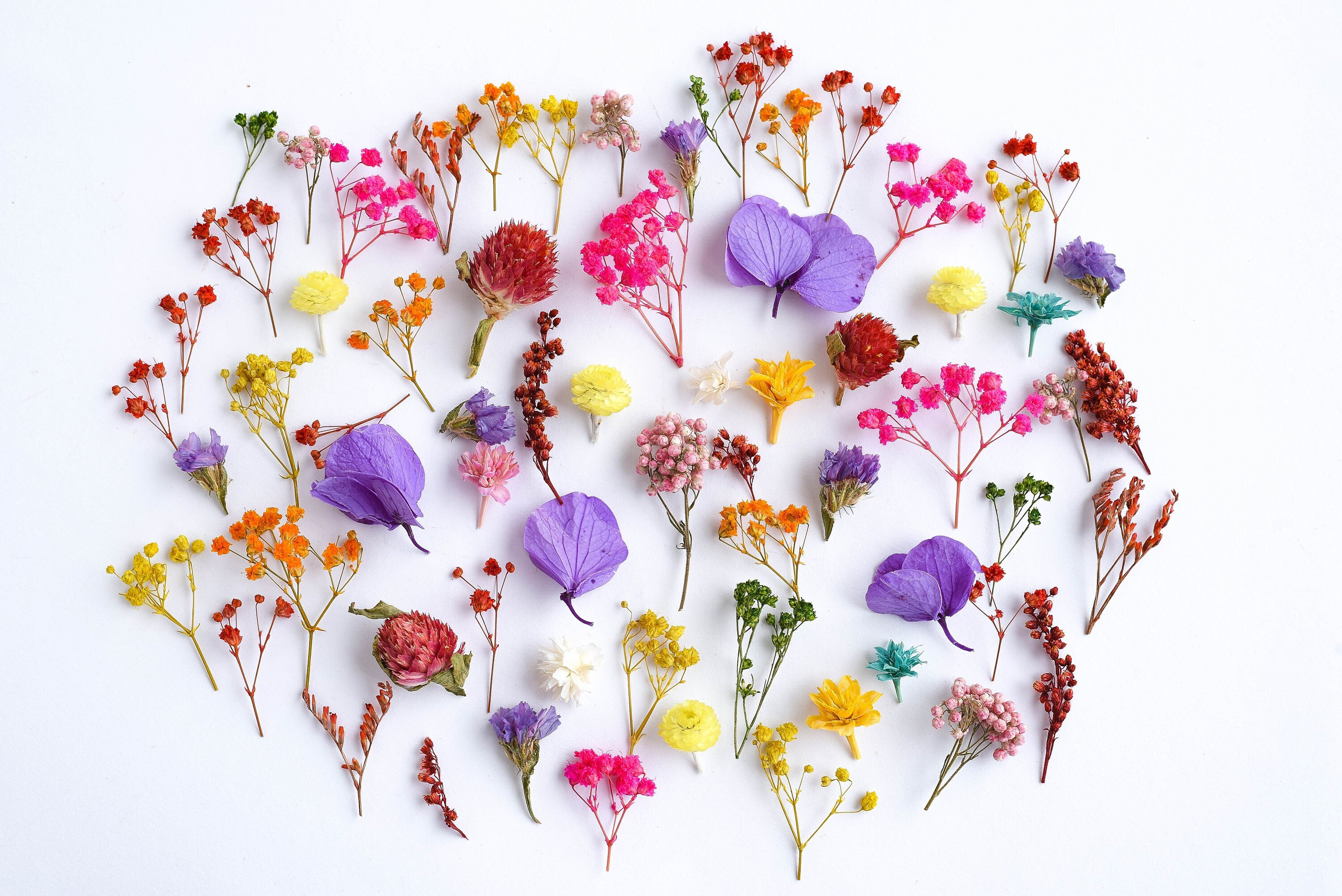 50 Pcs Small Dried Flowers, Tiny Dry Flowers,flowers for Resin,box