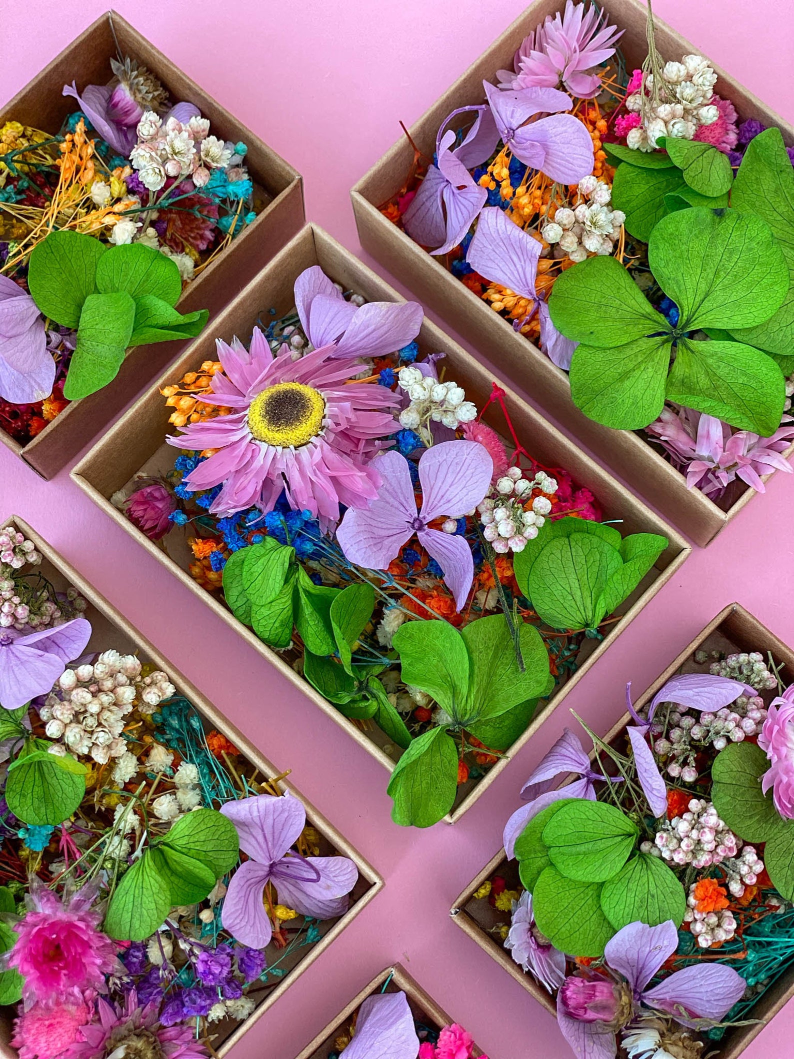 Dried Tiny Flowers for Resin Tiny Flowers for Resin Jewelry Etsy