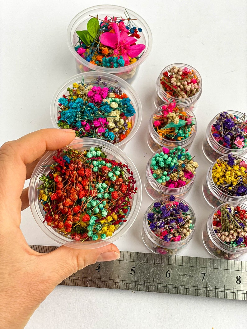 Dried Flowers for Resin Jewelry Tiny Small Flowers Resin Etsy