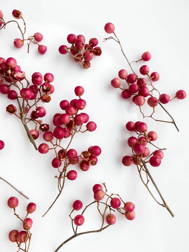 Dried Pepperberries for Resin Jewelry Making Dried Red Etsy