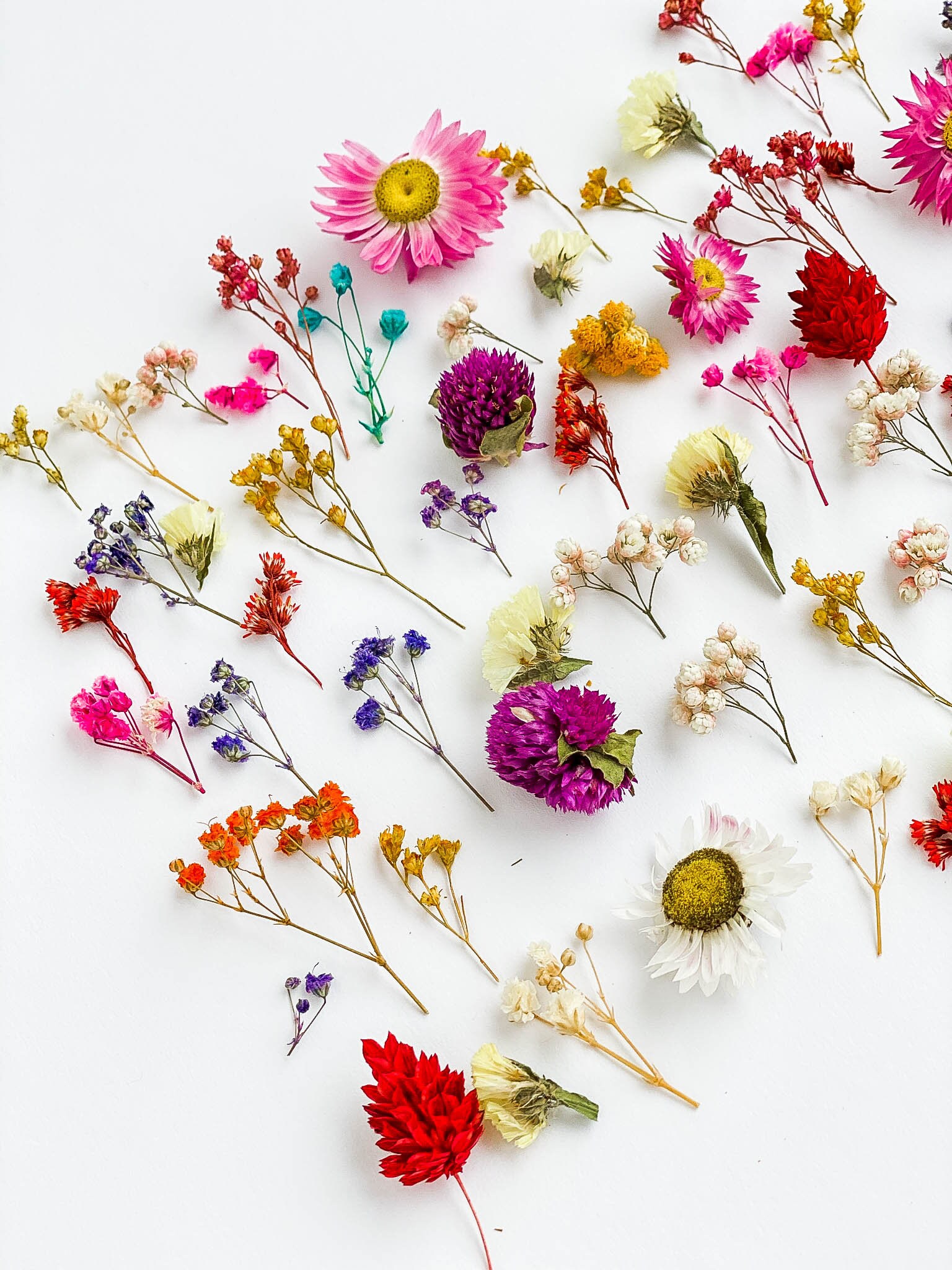 70 Pcs Tiny Flowers for Resin Jewelry Large Set of Dried Etsy