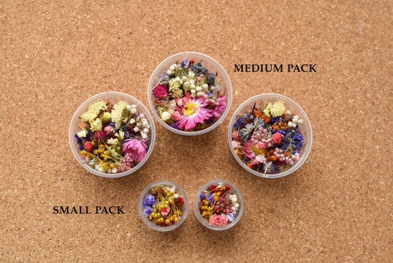 Dried Tiny Flowers for Resin, Tiny Flowers for Resin Jewelry, Resin Supply  Mini Garden, Mini Flower Mix for Resin Blue Purple Red Dry Flower 