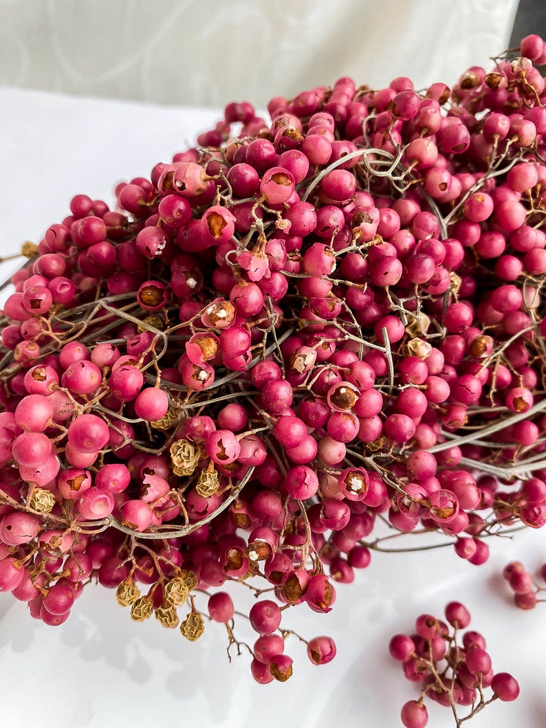 Dried Pepperberries for Resin Jewelry Making Dried Red Etsy