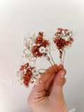 Terracotta Dried Flower Hair Pins, Rustic Bridal Hair Piece product logo