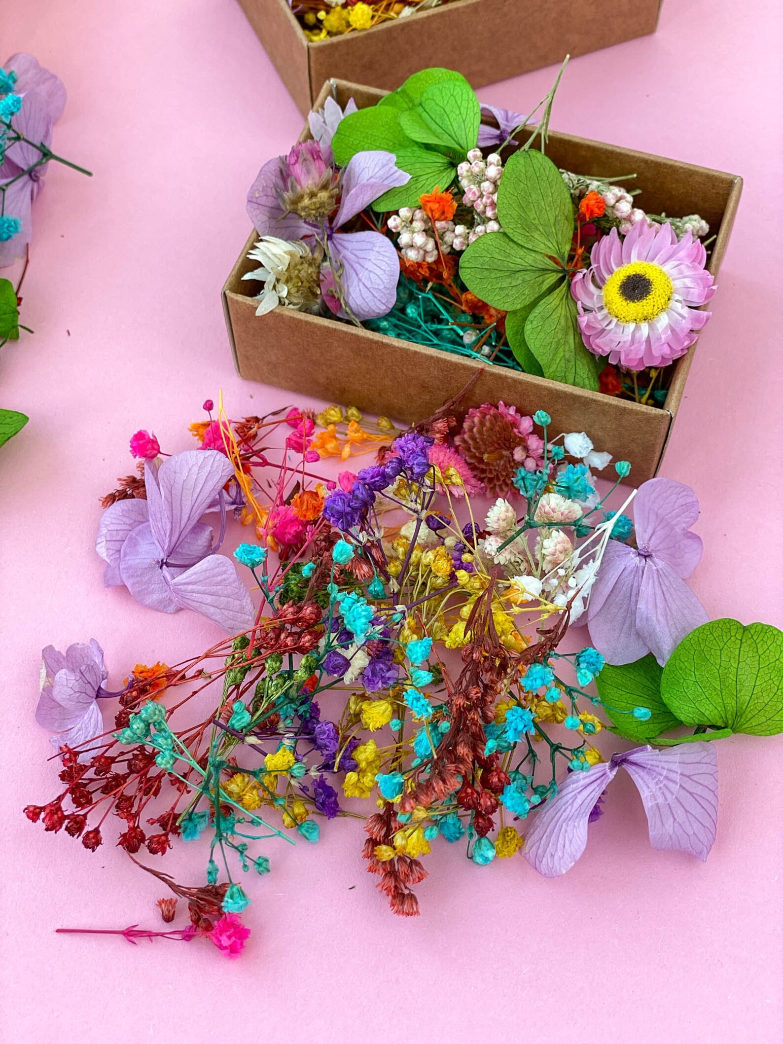 Dried Tiny Flowers for Resin Tiny Flowers for Resin Jewelry Etsy