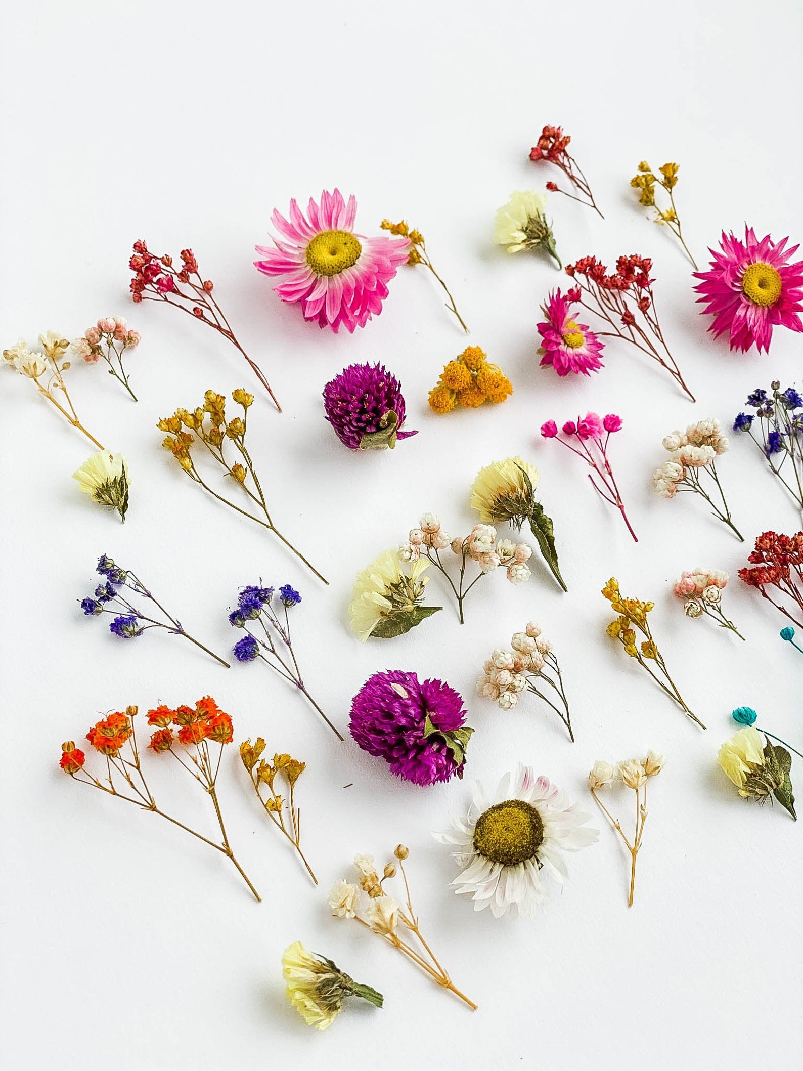 Tiny Flowers for Resin Jewelry Large Set of 40 Pcs of Dried Etsy