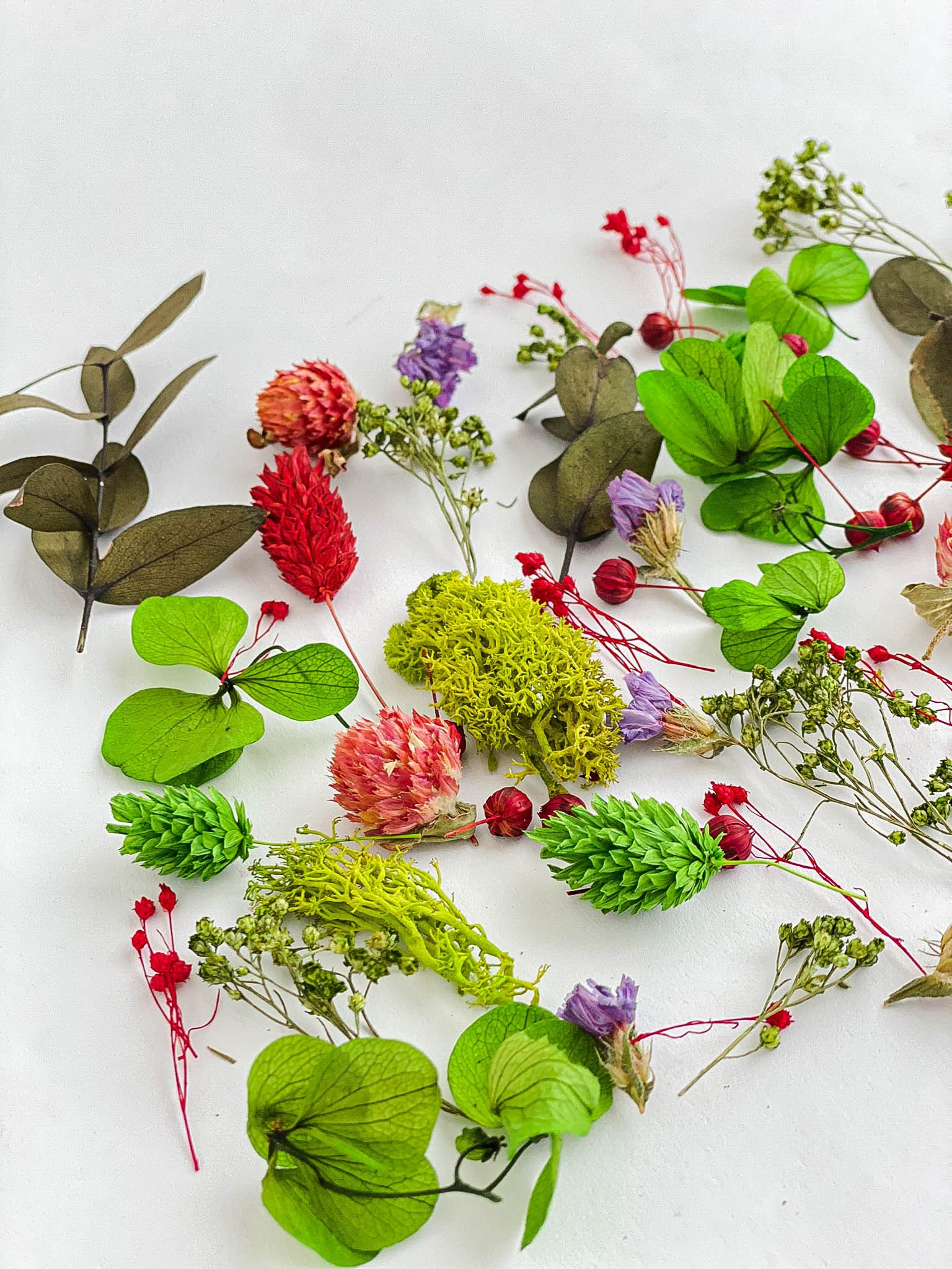 Dried Flowers For Resin Jewelry, Forest Berries Tiny Flower Set, Multicolor  Dry Mini Mix, Green Hydrangea, Phalaris, Broom Bloom - Yahoo Shopping