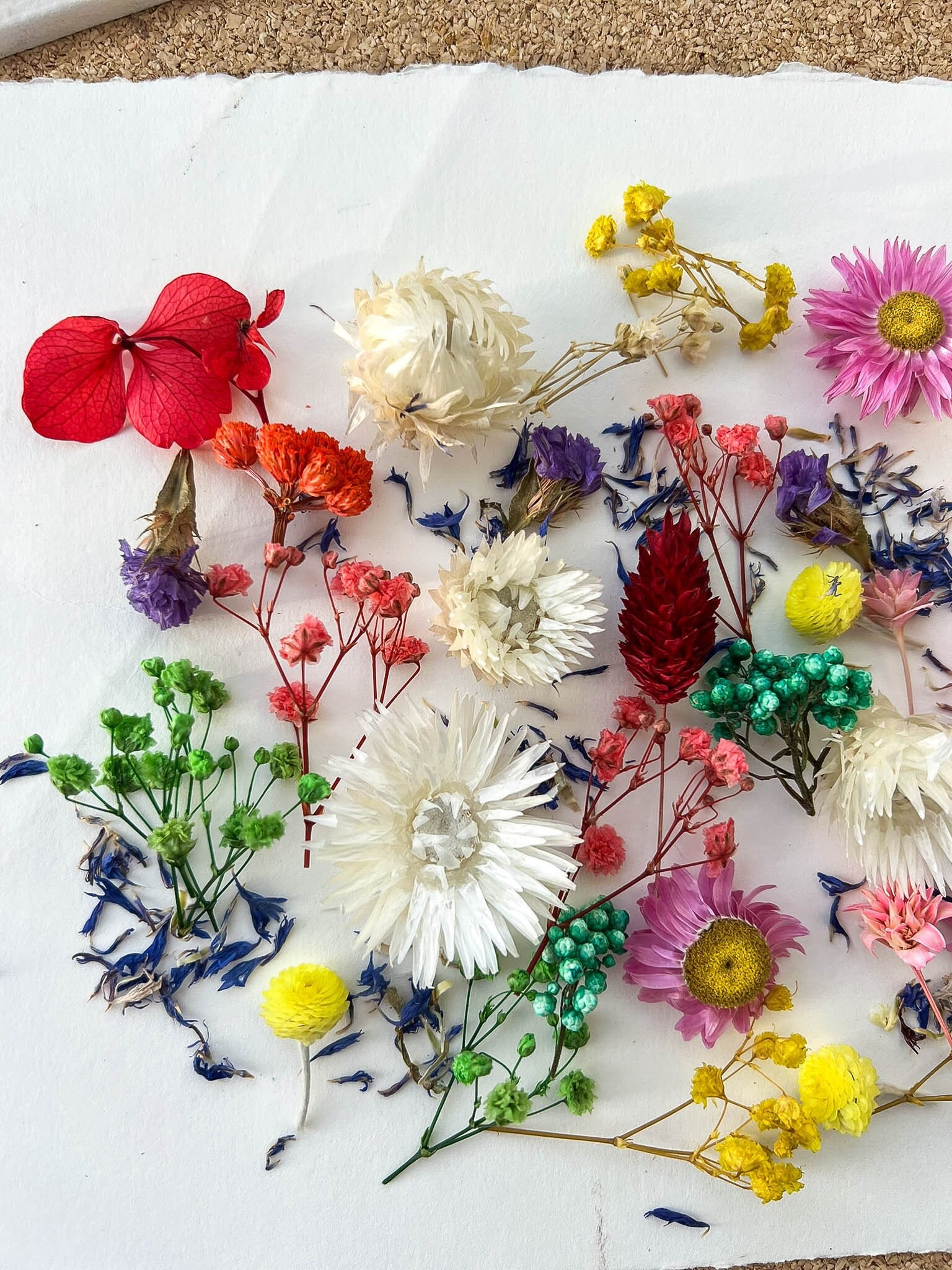 DIY Getrocknete Blumen Set - Natürliche Trockenblumen Für Bastelprojekte