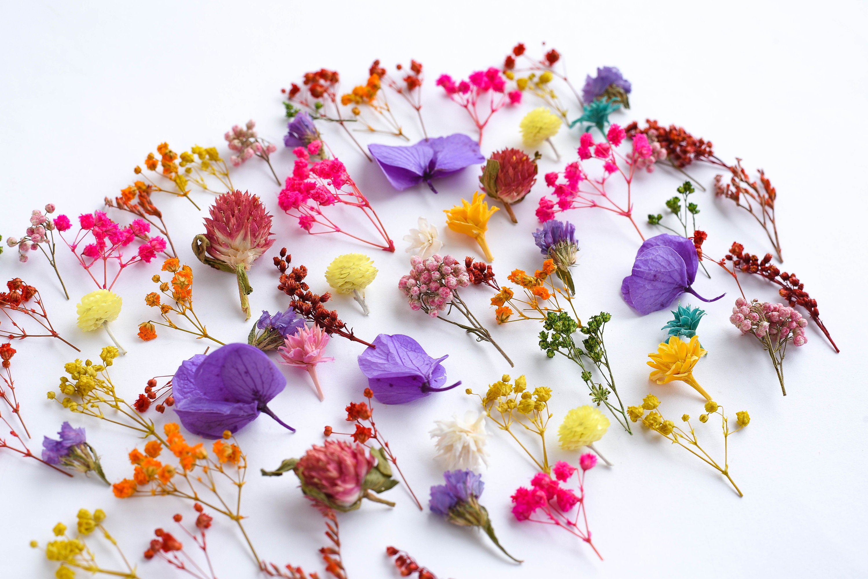 70 Pcs Tiny Flowers for Resin Jewelry, Large Set of Dried Flowers