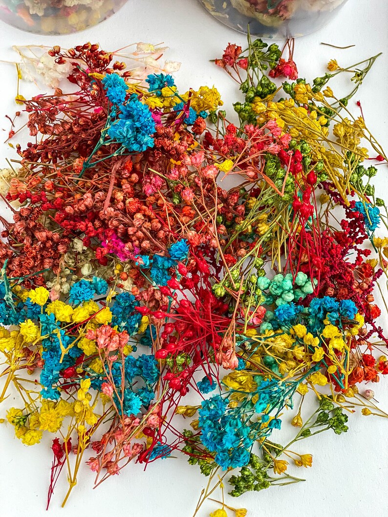 Dried Flowers for Resin Jewelry Tiny Small Flowers Resin Etsy