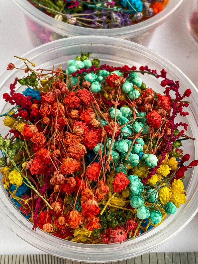 Dried Flowers for Resin Jewelry Tiny Small Flowers Resin Etsy