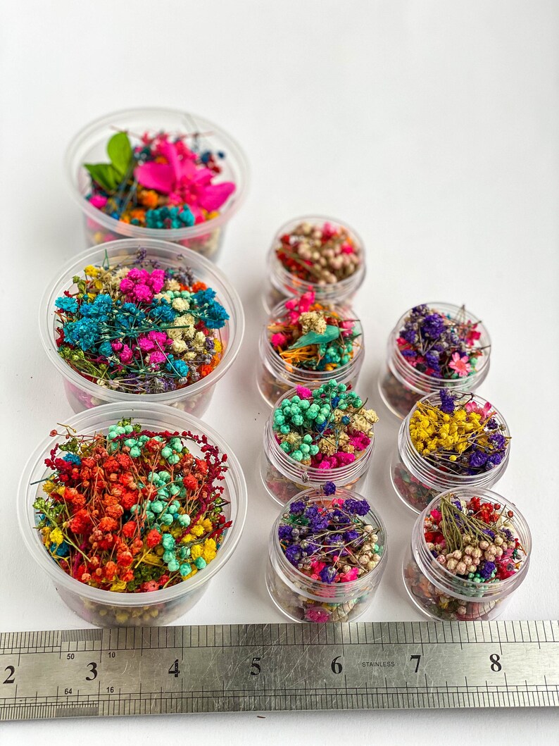 Dried Flowers for Resin Jewelry Tiny Small Flowers Resin Etsy