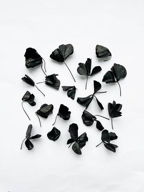 Monochrome Mini Dried Flower Bouquet // Black and White Dried
