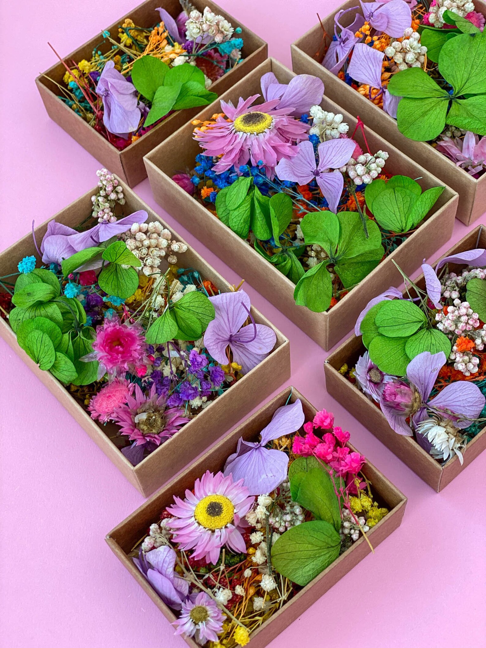 Dried Tiny Flowers for Resin Tiny Flowers for Resin Jewelry Etsy