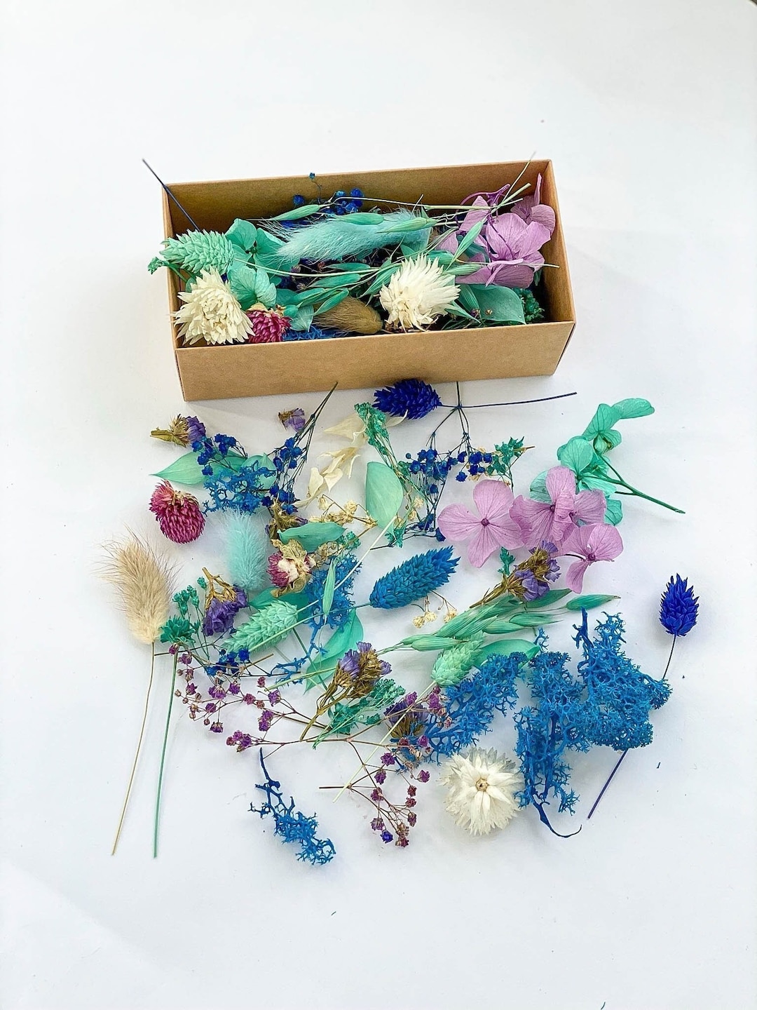 Tiny Flowers for Resin, Dried Blue Flowers, Dry Moss, Hydrangea