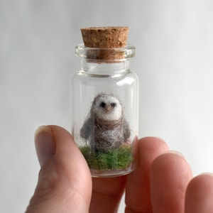Micro Needle Felt - Owl in a bottle