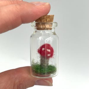 May include: A small glass jar with a cork lid contains a miniature red and white mushroom with a gray stem and green grass at the base.