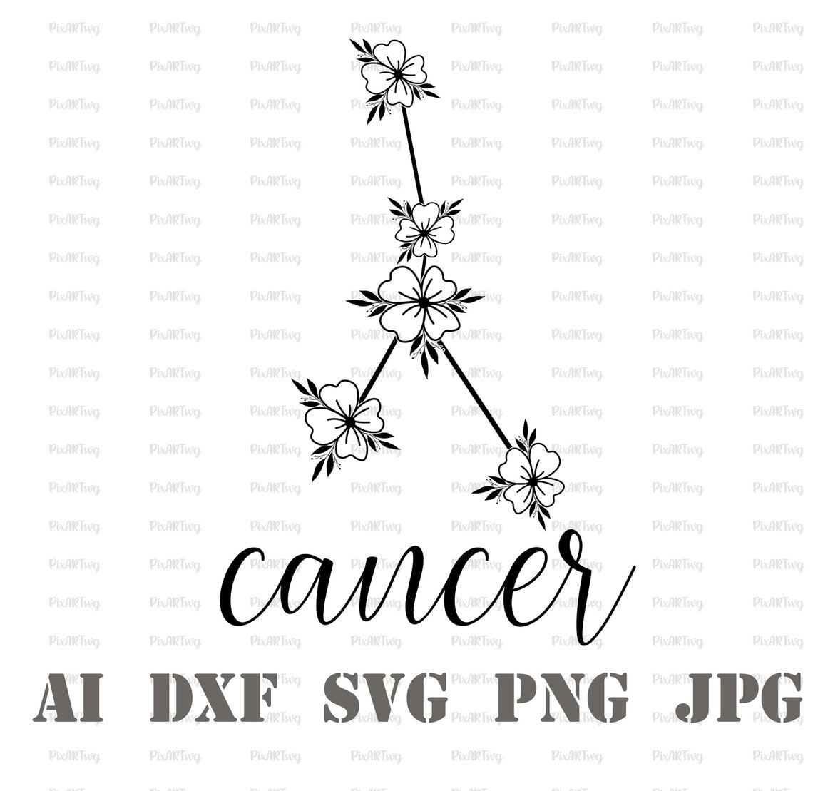 What Flower Represents Cancer at Bill Schwartz blog