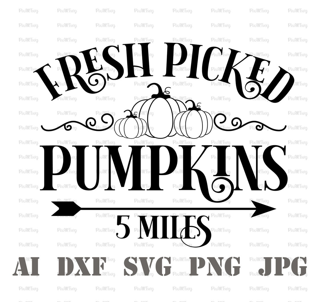 Fresh Picked Svg-fresh Picked Pumpkins Svg-happy Harvest - Etsy