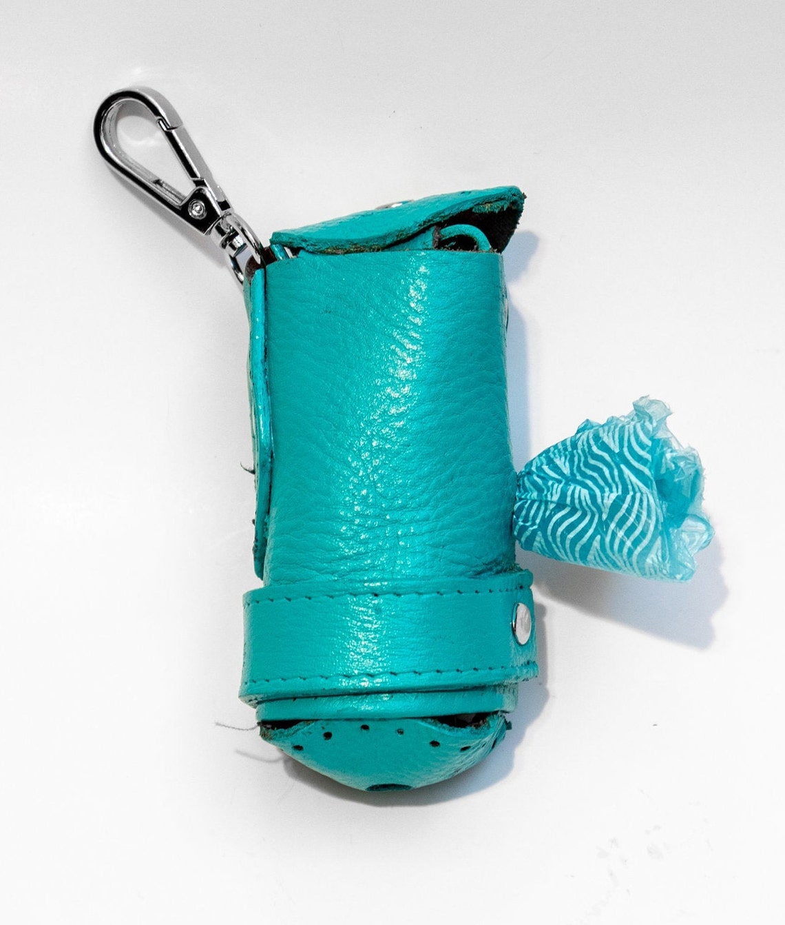 Bean BagTiffany Teal Poop bag Etsy