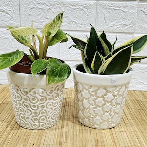 Può includere: Due piante in vaso su un tappetino di bambù. Una pianta ha foglie verdi e bianche, l'altra ha foglie verde scuro con bordi gialli. Entrambe le piante sono in vasi bianchi con motivi decorativi.