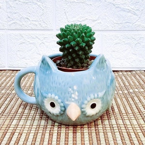 Cool Blue Owl Ceramic Desk Planter Pot l 3.5&quot; in Cool Blue colour l Children Kid&#39;s gifting | Bonsai Succulents Cactus planter