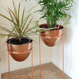 May include: Two potted plants in copper pots on copper stands. The plants are in a corner of a room with white walls and beige carpet.