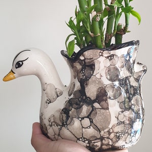 May include: A white ceramic planter shaped like a swan with black and white marbled detailing. The planter is filled with a green leafy plant.