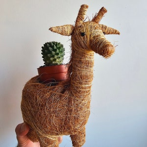 May include: A decorative giraffe-shaped planter made from woven natural fibers. The giraffe has a long neck, small ears, and a small pot on its back holding a green cactus. The planter is designed to hold small plants and adds a whimsical touch.