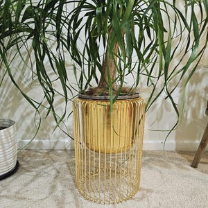 May include: A gold metal plant stand with a round top and a cylindrical base. The stand has a wire mesh design and is holding a potted plant with green leaves.
