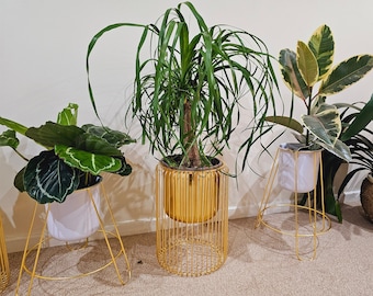 Clearance Blemishes l Boho Golden Cage design Planter Stand and Planter Pot Set l Stand 12 " High storing pots of Diameter 6"l Home Decor