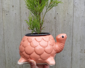8" Tortoise Ceramic Planter Pot in Baby Pink colour l L8"xH4"| Indoor & Outdoor planter | Wedding Anniversary Gift | Rusticbazar.com