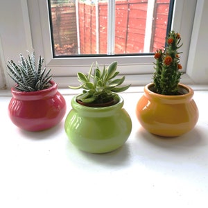 Może przedstawiać: Trzy małe rośliny doniczkowe w kolorowych doniczkach ceramicznych. Doniczki są różowe, zielone i pomarańczowe. Rośliny to sukulent, kaktus i roślina liściasta.