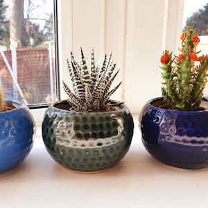 May include: Three ceramic pots with succulents. The pots are round with a textured surface. The first pot is blue, the second is green, and the third is blue. The succulents include a zebra plant and a cactus with orange flowers. The pots are on a white windowsill.