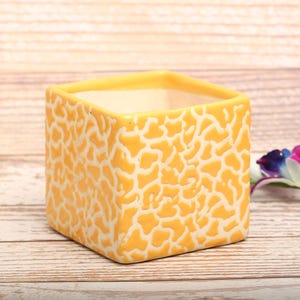 4"Sunshine Leopard Muster Cube Pflanztopf | L4xH4 inch l Gelb und Weiß | Wohnkultur Geschenk | Sukkulenten Pflanzer