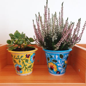 Può includere: Due piante in vaso con vasi in ceramica a motivi floreali. La pianta a sinistra è una pianta di giada in un vaso giallo con disegni floreali blu e verdi. La pianta a destra è una pianta di erica in un vaso blu con disegni floreali gialli e verdi.