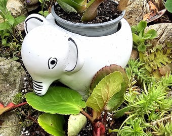 Elephant Ceramic Planter Pot l Home Décor | Succulents Cactus | White l L5,75xW4.5xH4&quot; l Stationery Storage box l Kids Gardening | Kids gift