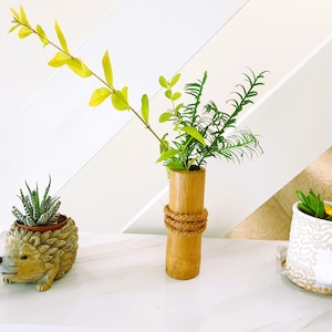 May include: Three potted plants, one in a brown hedgehog-shaped planter, one in a white planter with a brown pattern, and one in a bamboo vase tied with twine.