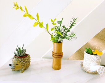 Rustikale Vase aus Bambus mit Band aus Kokosfaser, Stift- & Pinselhalter